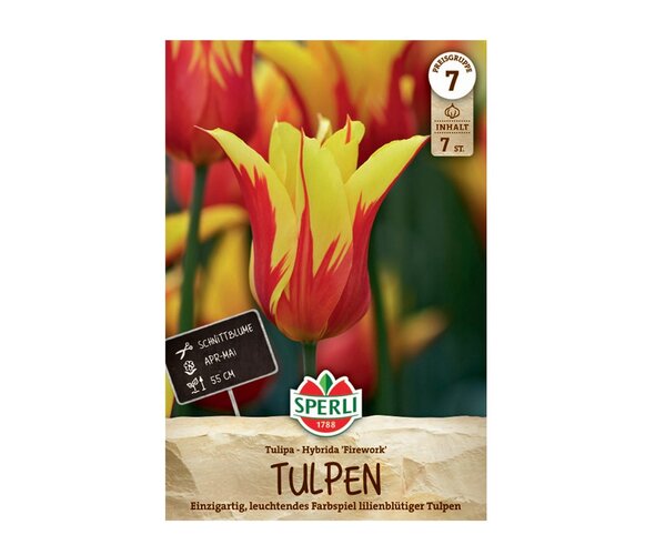 Liliomvirágú tulipán 'Firework'